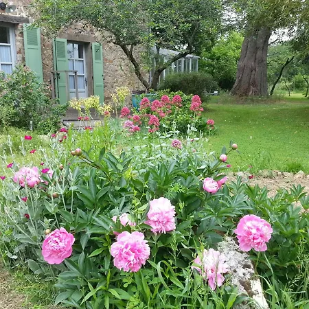 Maison De Maitre Renovee Avec Jardin, Terrasse Et Equipements Modernes, Au Calme De La Campagne. *