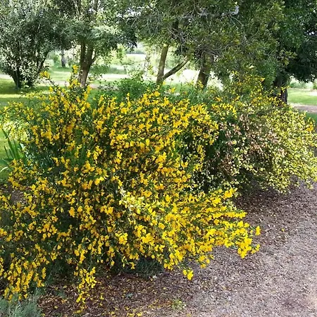 Maison De Maître Rénovée Avec Jardin, Terrasse Et équipements Modernes, Au Calme De La Campagne. - Fr-1-306-928 Hébergement de vacances