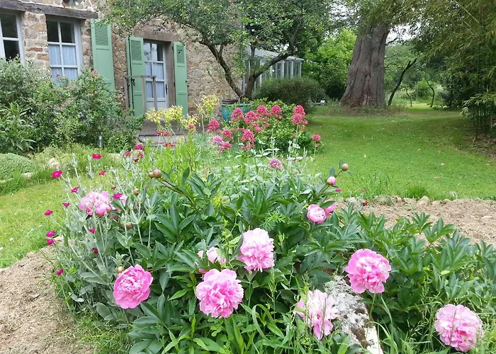 Maison De Maitre Renovee Avec Jardin, Terrasse Et Equipements Modernes, Au Calme De La Campagne. - Fr-1-306-928 *