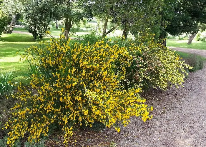 Maison De Maitre Renovee Avec Jardin, Terrasse Et Equipements Modernes, Au Calme De La Campagne. - Fr-1-306-928 Casa de Férias
